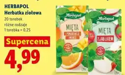 Lidl Herbatka ziołowa Herbapol oferta
