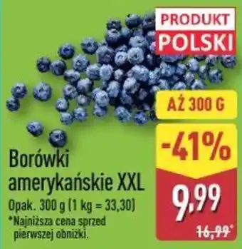 ALDI Borówki amerykańskie XXL oferta