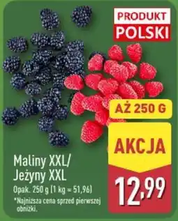 ALDI Maliny XXL/Jeżyny XXL oferta