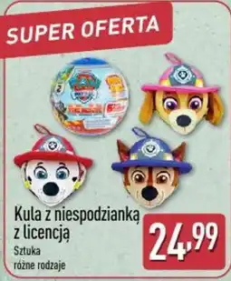 ALDI Kula z niespodzianką z licencją oferta