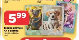 Netto Teczka animals A4 z gumką Herlitz oferta