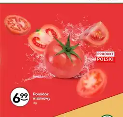 Żabka Pomidor malinowy polski oferta