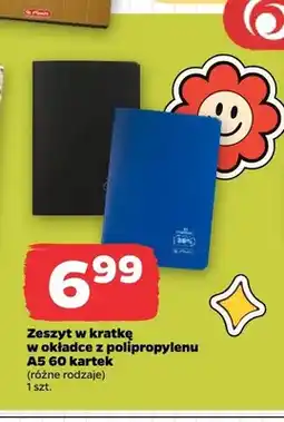 Netto Zeszyt w kratkę w okładce z polipropylenu A5 60 kartek Herlitz oferta