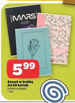 Netto Zeszyt w kratkę A4 60 kartek Herlitz oferta