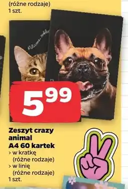 Netto Zeszyt crazy animal A4 60 kartek w linię Herlitz oferta