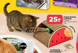 Netto Drapak dla kota z piłeczką oferta