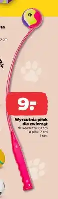 Netto Wyrzutnia piłek dla zwierząt oferta