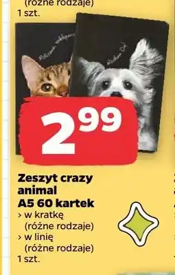 Netto Zeszyt crazy animal A5 60 kartek w linię Herlitz oferta