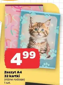 Netto Zeszyt A4 32 kartki Herlitz oferta