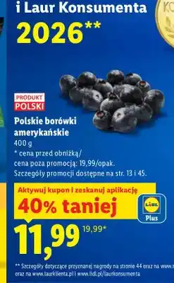 Lidl Borówki amerykańskie polskie oferta