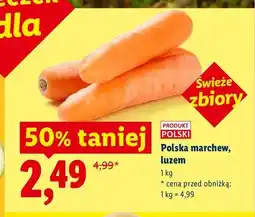 Lidl Marchew polska luzem Ryneczek Lidla oferta