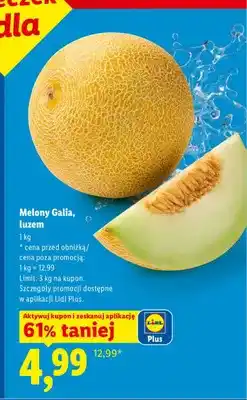 Lidl Melon Galia luzem oferta
