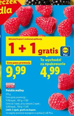 Lidl Polskie maliny Ryneczek Lidla oferta