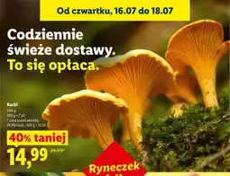 Lidl Kurki Ryneczek Lidla oferta