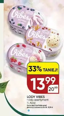 Chata Polska Lody Koral Vibes Śmietanka Jagoda oferta