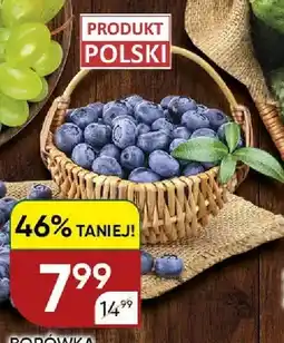 Chata Polska Borówka amerykańska polska oferta