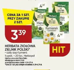 Chata Polska Herbata ziołowa Herbapol Zielnik Polski Mięta oferta