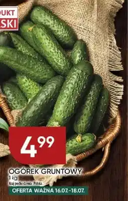 Chata Polska Ogórek gruntowy polski oferta