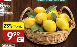Chata Polska Cytryna argentyńska oferta