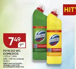 Chata Polska Płyn do WC Domestos Citrus oferta