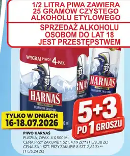 Top Market Piwo Harnas oferta