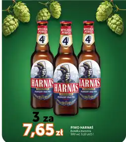 Groszek Piwo Harnas oferta