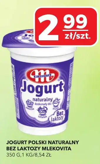 Top Market Jogurt Polski Naturalny Bez Laktozy Mlekovita oferta