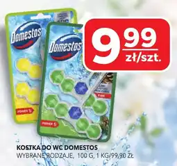 Top Market Kostka do WC Domestos oferta