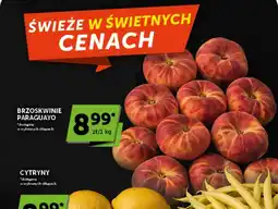 Groszek Brzoskwinie Paraguayo oferta