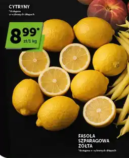 Groszek Cytryny oferta