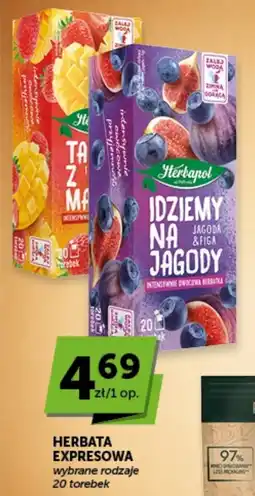 Groszek Herbata Expresowa oferta