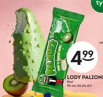 Lody Palionek Kiwi