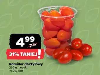 Netto Pomidor daktylowy oferta