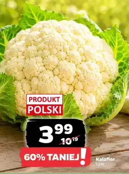 Netto Kalafior oferta
