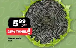 Netto Słonecznik oferta