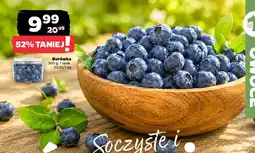Netto Borówka oferta