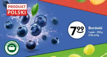 Żabka Borówki oferta