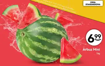 Żabka Arbuz Mini oferta