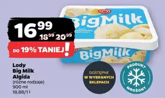 Netto Lody Big Milk Algida oferta