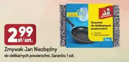 Avita Zmywak Jan Niezbędny do delikatnych powierzchni oferta
