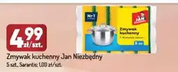 Avita Zmywak kuchenny Jan Niezbędny oferta