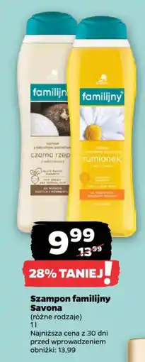 Netto Szampon familijny Savona oferta