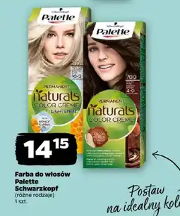 Netto Farba do włosów Palette Schwarzkopf oferta