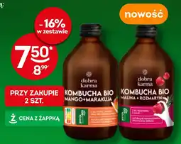 Żabka Kombucha Bio Dobra Karma oferta
