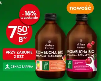 Żabka Kombucha Bio Dobra Karma oferta