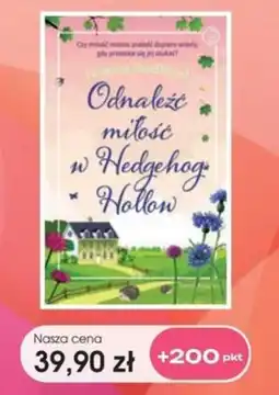 Świat Książki Odnaleźć miłość w Hedgehog Hollow oferta