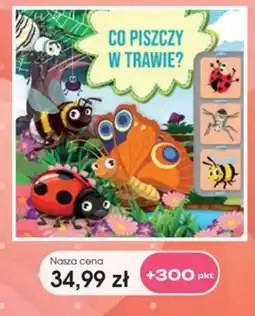 Świat Książki Co Piszczy w Trawie? oferta