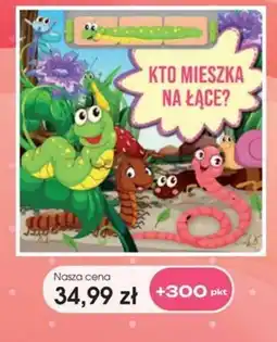 Świat Książki Kto mieszka na łące? oferta