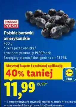 Lidl Polskie borówki amerykańskie oferta