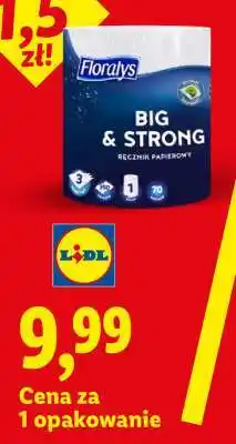 Lidl Floraly's Big & Strong oferta